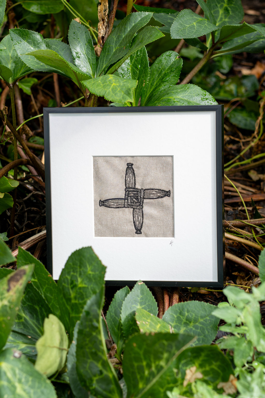 St. Brigid's Cross